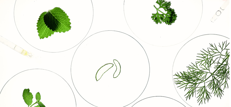 What Are Exosomes in Skincare? Human vs Plant vs Microbial Explained