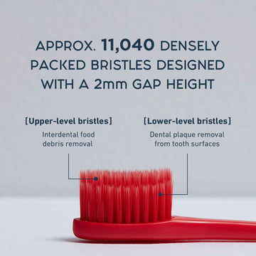 Jelly Jello 21 Colors Biodegradable Eco-Friendly, Tooth Brush