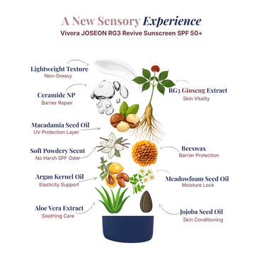 Vivora Joseon RG3 Revive Sunscreen SPF50+ PA+++ (50ml) | Korean Sunscreen