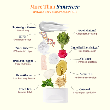 Cellvane PDRN Daily Sunscreen SPF50+ | Korean Sunscreen